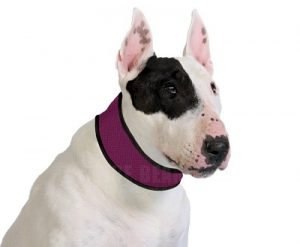 ICE-PCC01-04  Rose Red Cooling Collar