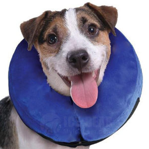ICE-PIC01-01  XS  Pet Inflatable Protective Recovery Collar