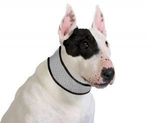 ICE-PCC01-03  Grey Cooling Collar