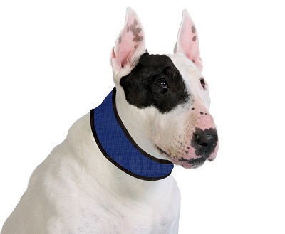 ICE-PCC01-01 Dark Blue Cooling Collar