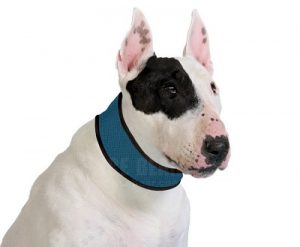 ICE-PCC01-02  Light Blue Cooling Collar