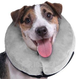 ICE-PIC01-02 XS Pet Inflatable Protective Recovery Collar
