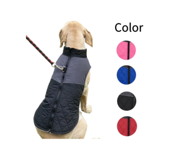  Pet Winter Clothes 