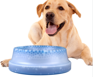 Chill Out Cooler Dog Water Bowl