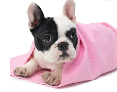 Pet Dog Instant Cooling Towel