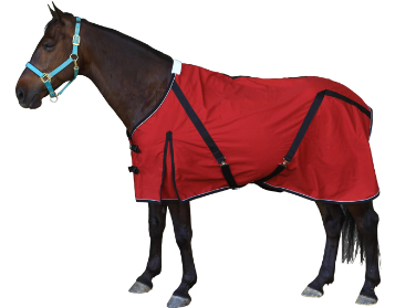  Horse Equipment Blankest 