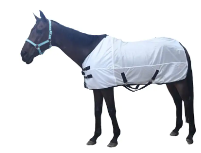 Suitable for Horse Outdoor Riding