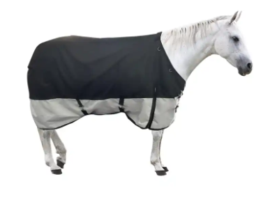 Horse Equipment Blanket 