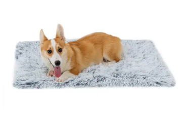 Pet Throw Blanket Best Friends of dog 